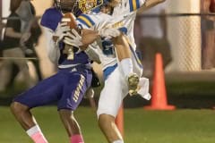 Hernando High wide receiver, 4, Leandre Wright hauls in a long pass behind the Crystal River defense resulting in a Leopard touchdown Friday in Brooksville. Photo by JOE DiCRISTOFALO