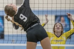 Weeki Wachee ,9, Trinity Garrison hits a kill shot against Hernando High in a 4A District 9 semi-final play off match at Nature Coast High. Photo by JOE DiCRISTOFALO