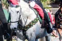 49th Kiwanis Brooksville Christmas ParadeCredit: Cheryl Clanton