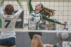 Weeki Wachee ,8, Morgan Maeder lifts a ball over the defense by Central High’s , 7,Sierra Becker. Photo by JOE DiCRISTOFALO