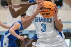 Nature Coast’s ,3, Luke Sanders eyes the basket in the game versus Sebring High Thursday in the Final Game of the Nature Coast Christmas Tournament. Photo by JOE DiCRISTOFALO
