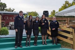 Steer Showmanship