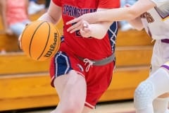 Springstead High, 20, Amelia Sullivan drives past Hernando High, 1, MarLylah Chappell Tuesday night 1/3 at Hernando High. Photo by JOE DiCRISTOFALO