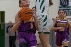 Hernando High, 1, Marylylah Chappell tries to shoot around the defense by Weeki Wachee High ,3, Nataleigh Hedrick Tuesday night in Brooksville. Photo by JOE DiCRISTOFALO