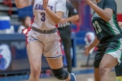 Springstead Brianna Greene ,3, passes the ball in the game versus Gulf High while defended by ,13, Brenniyah Hall Wednesday during Springsteads Holiday Tournament. Photo by JOE DiCRISTOFALO