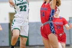 Weeki Wachee ,22, Rayana Coleman shoots over Springstead ,24, Isabella Paul at Weeki Wachee High. Photo by JOE DiCRISTOFALO