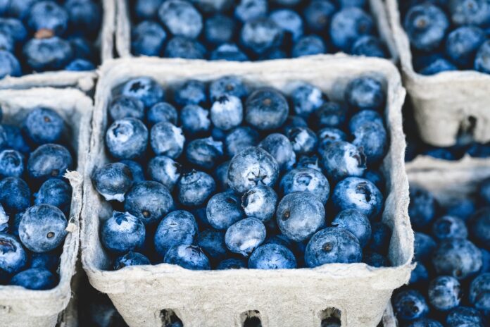 Brooksville Blueberry Festival