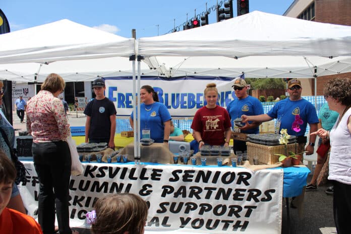 The line for fresh blueberries was long, but there were plenty to go around.