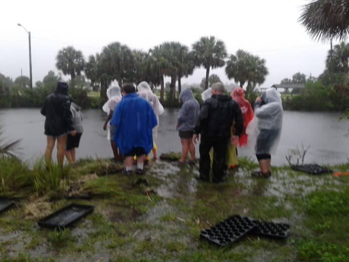 Staff and students make their way into the water to begin planting on May 30, 2018