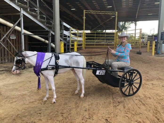 Kelsey Painter a Hernando High School Sophomore and her horse Ziggy. They placed first in the Western Country Pleasure Driving in the Open, and Youth classes.