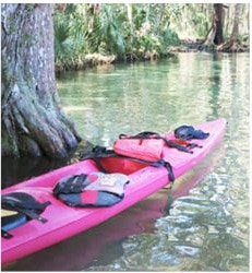 Kayaking is very popular on the Weeki Wachee River