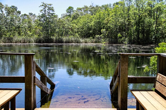 Eagles Nest Dive Area by Alice Mary Herden