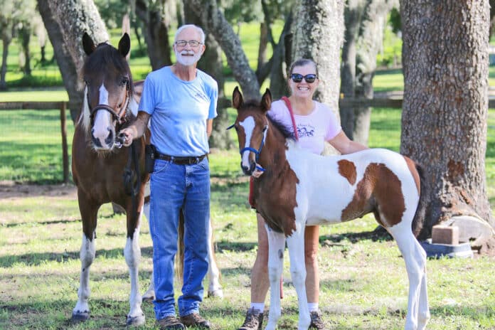 Kym and John Holzwart with their Spotted Saddle Horse mare Pusher’s Hoodoo and her 2-month-old foal Spirit of Gravedigger. Photo by ALICE MARY HERDEN.