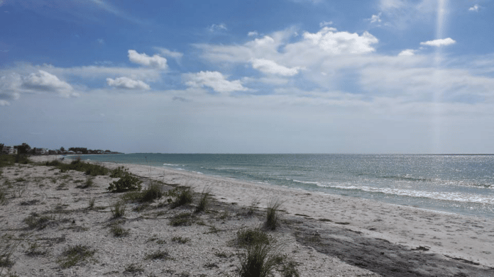 Beach at Palm Island Resort