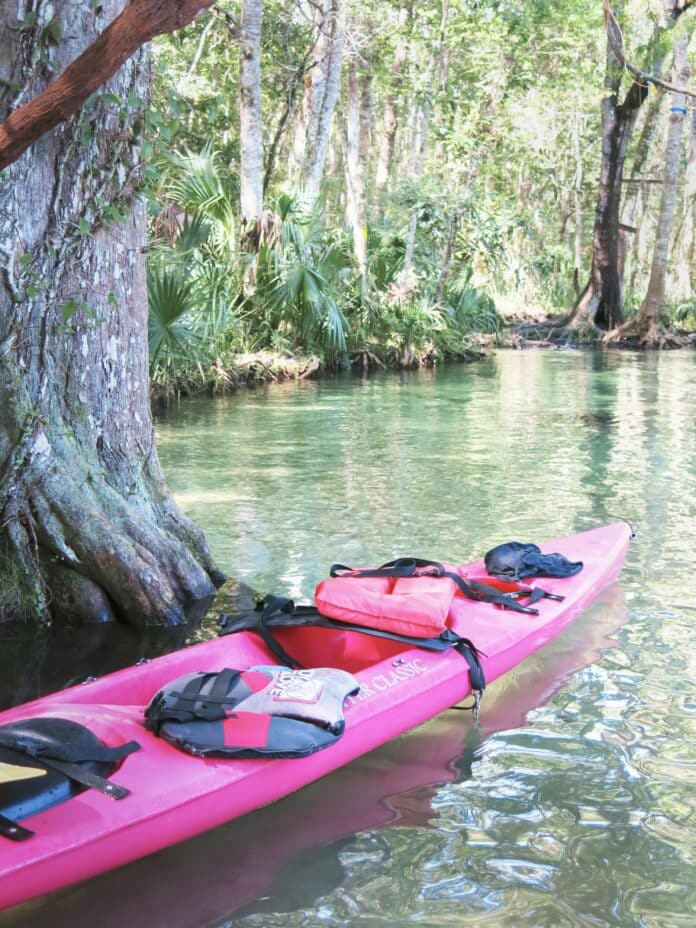 Weeki Wachee River photo by Robert Stein