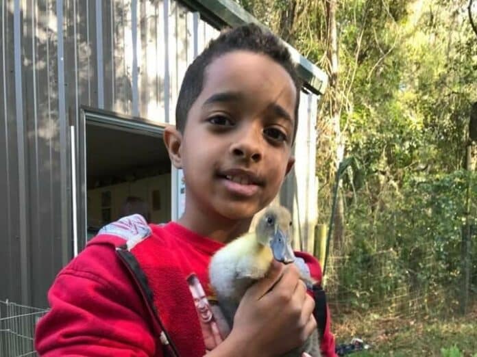 Mason holds a duckling at Golden Rainbow Ranch