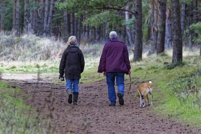 walking a dog