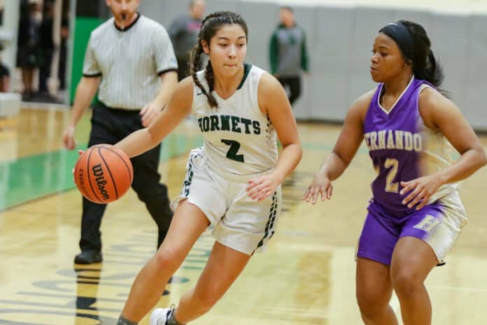 Weeki Wachee’s Morgan McDaniel dribbles up court Jan. 25, 2019 as Hernando’s Nakayla Roberts follows for a possible steal.