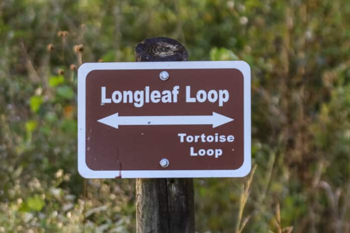 Longleaf Loop