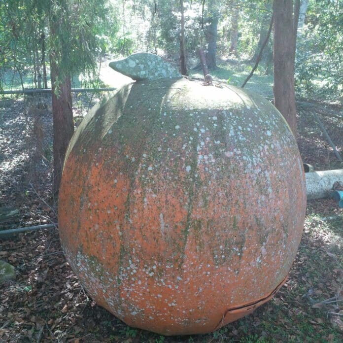 The fiberglass tangerine that was ‘dropped’ on New Year’s Eve in Brooksville