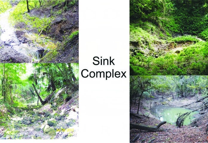 Peck Sink complex