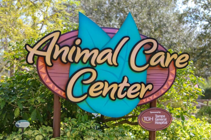 Animal Care Center in Busch Gardens, Tampa.
