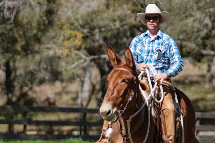 Ty Evans offers Mulemanship clinics to help owners get the best personal connection with their mules.