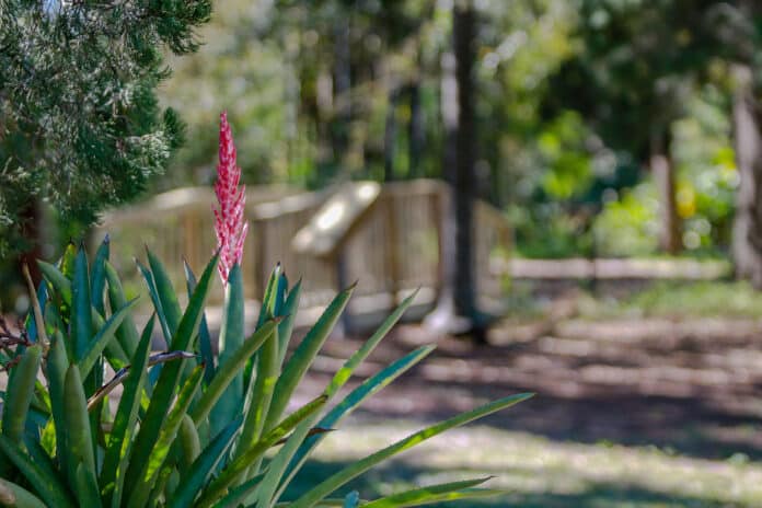 The Botanical Gardens is worth the trip, it's a picture perfect place to visit.