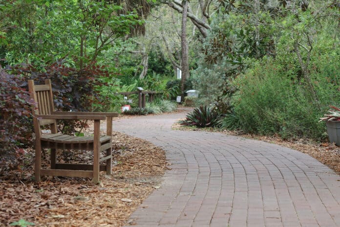 Nature Coast Botanical Gardens is just about complete in constructing a paved pathway for those visitors that were not able to access the gardens due to a need of a walker or wheelchair. This beautiful pavers laid by AMC pavers give many folks the ability to visit all twenty-two themed gardens.