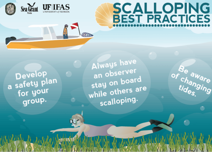 Scalloping Best Practice