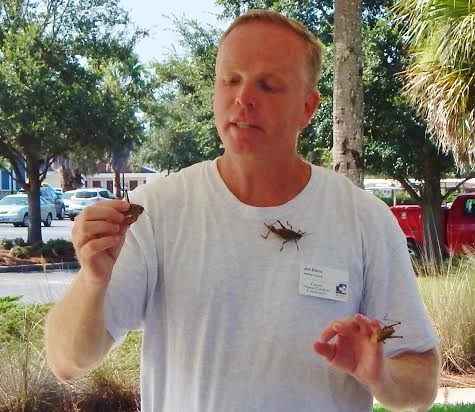 Jim Davis, Univ. of Fl. extension educator handled large grasshoppers during bug camp including 2 on his shirt
