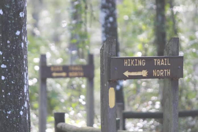  14 backpack-hikers met up at the Tucker Hill trailhead in Brooksville to participate in the BACKPACKERS National Summit Day on August 3.