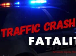 traffic crash fatality