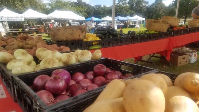 Fresh vegetables line this Brooksville Farmers Market stand.