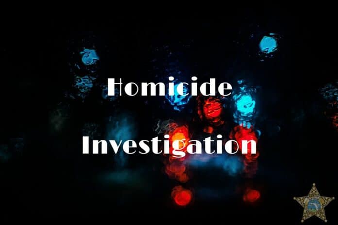 Homicide Investigation