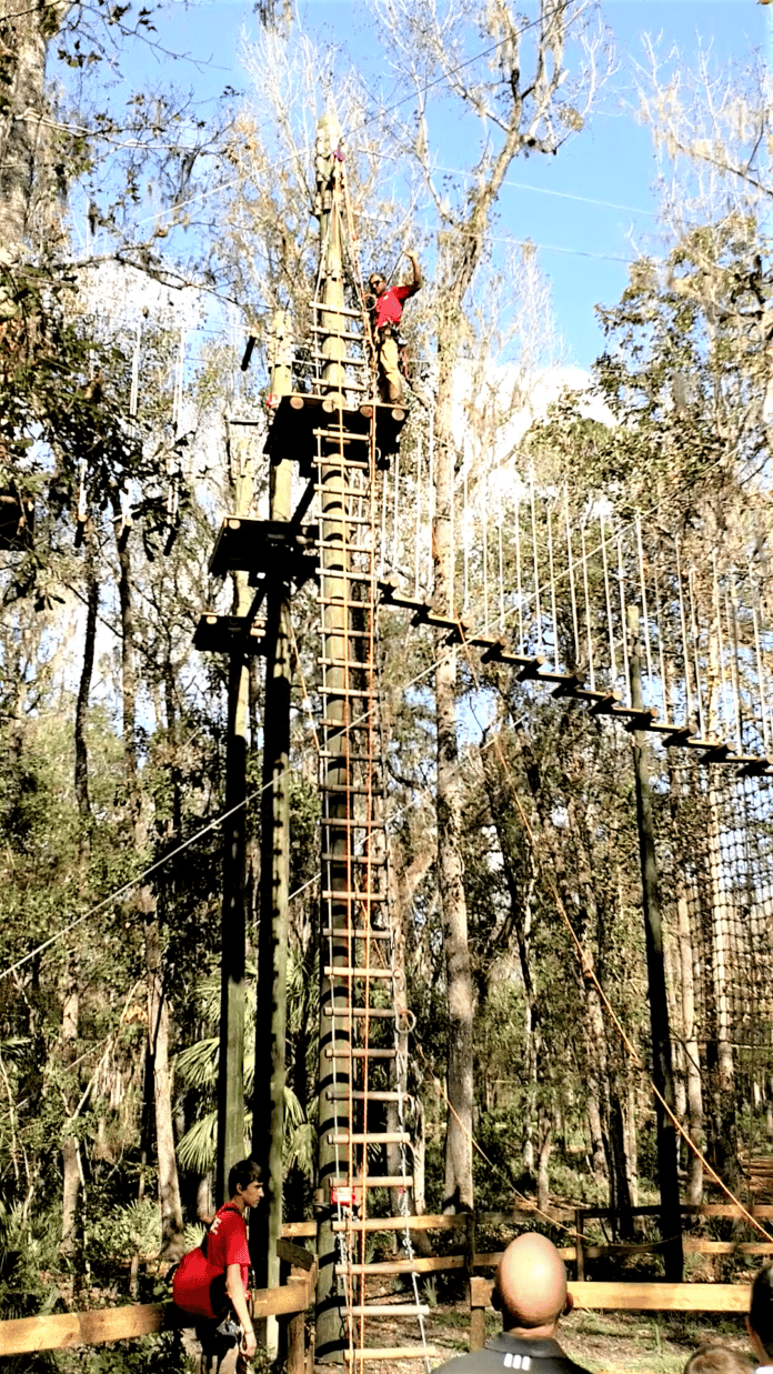 Tall climbing structure in the trees