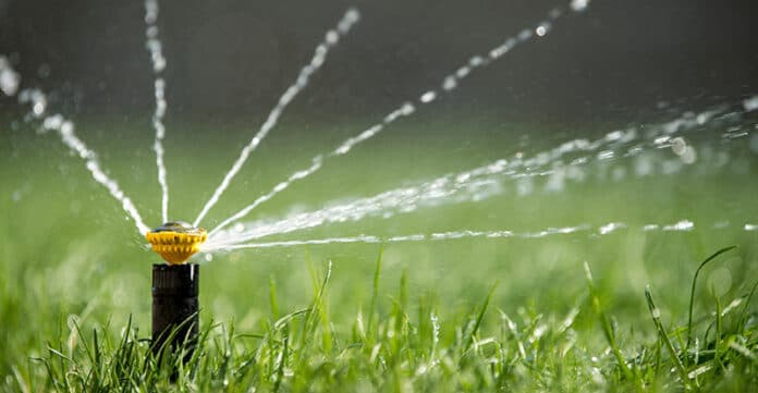 Sprinkler on grass