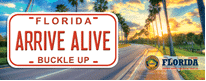 FHP Arrive Alive