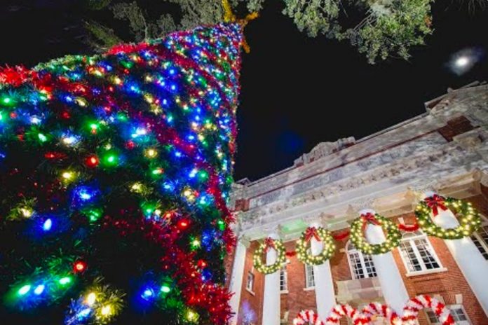 Tree Lighting - Photo by Brooksville Main Street