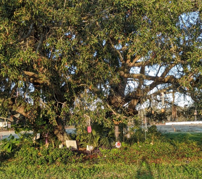 Hernando County’s Wind Chime Tree is a result of individuals adding to their surroundings like the Pont des Arts in Paris.