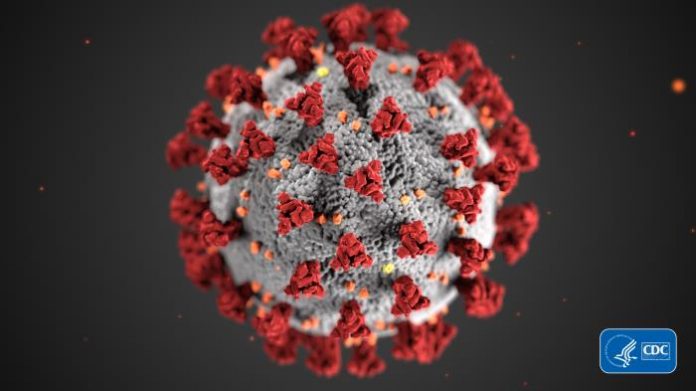 This illustration, created at the Centers for Disease Control and Prevention (CDC), reveals ultrastructural morphology exhibited by coronaviruses. Note the spikes that adorn the outer surface of the virus, which impart the look of a corona surrounding the virion, when viewed electron microscopically. A novel coronavirus, named Severe Acute Respiratory Syndrome coronavirus 2 (SARS-CoV-2), was identified as the cause of an outbreak of respiratory illness first detected in Wuhan, China in 2019. The illness cau