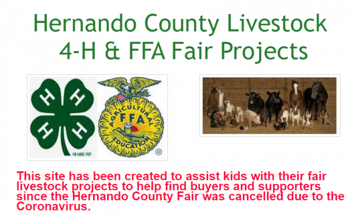 Hernando County 4H