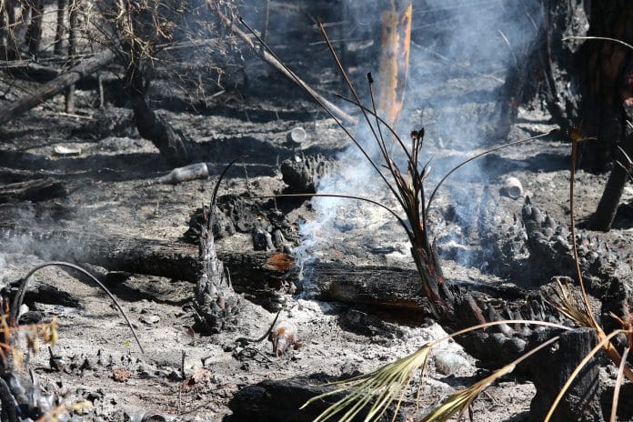 Wildland Firefighters create fire breakers to help contain the wildfire from reaching other areas.  These fire breakers can reach over 5 feet in width.  Photo by Alice Mary Herden