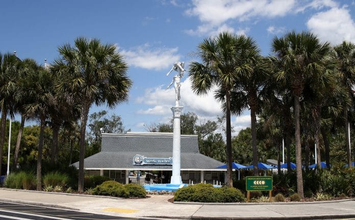 Weeki Wachee Springs State Park by Alice Mary Herden