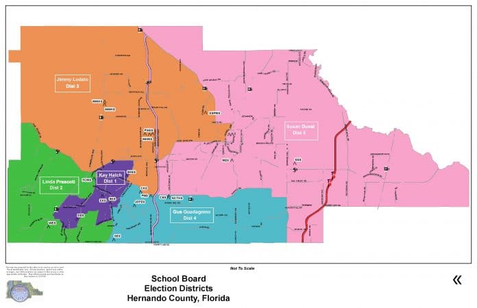 Hernando County School Board Districts