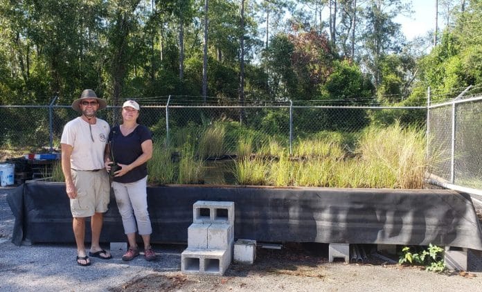 Usually, Alice Mary Herden is behind the camera, but today she is front and center, recognized with her husband Don Herden as an exemplary volunteer, caring for the marsh grasses at the UF/IFAS marsh grass nursery.