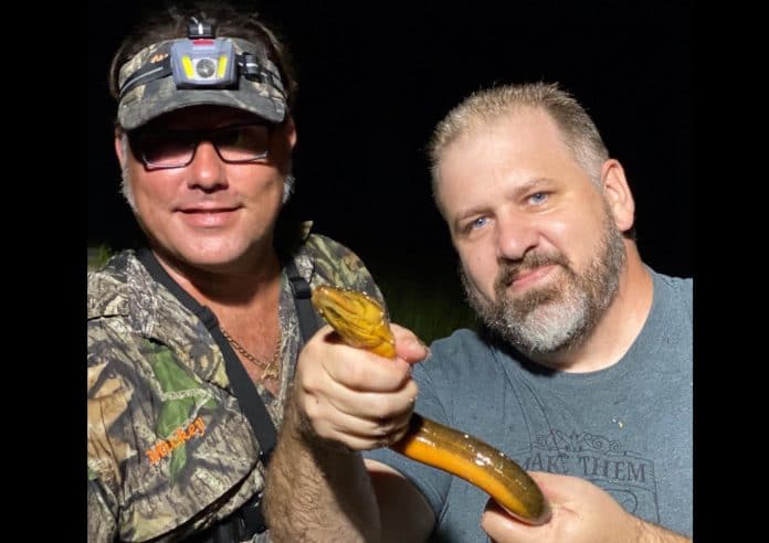 Myron Looker and Matthew Kogo showing off one of the Asian swamp eels captured our first night's hunt in the Evergades