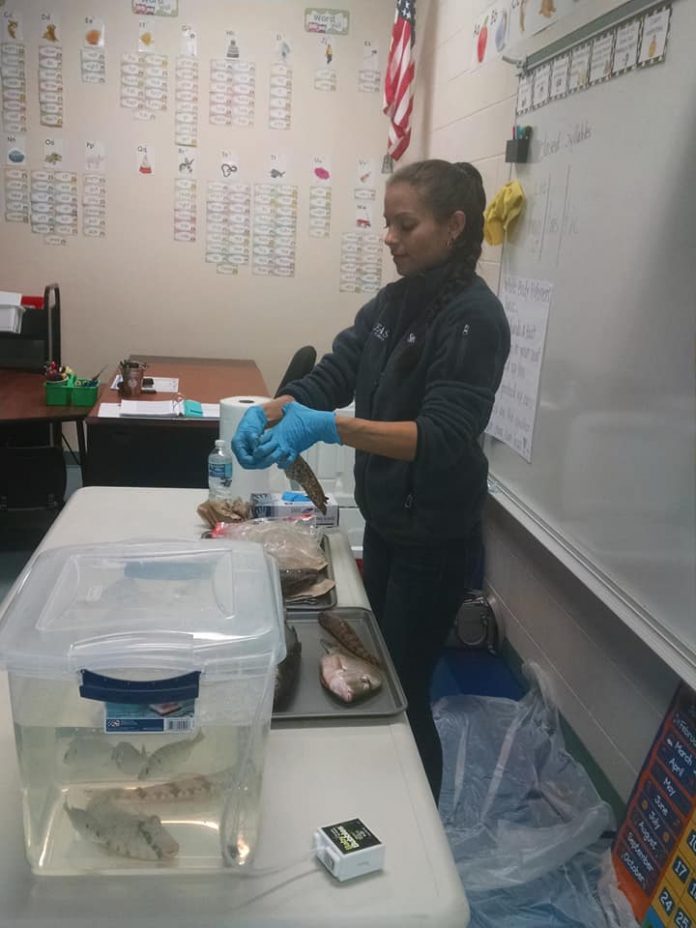 Brittany Hall-Scharf prepares for a presentation in a local classroom.