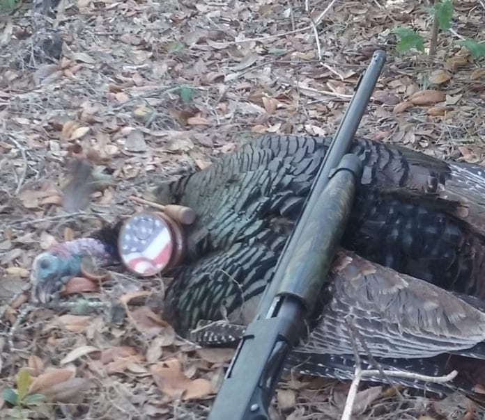 Toby's turkey gun with a handsome tom from Thanksgiving 2019