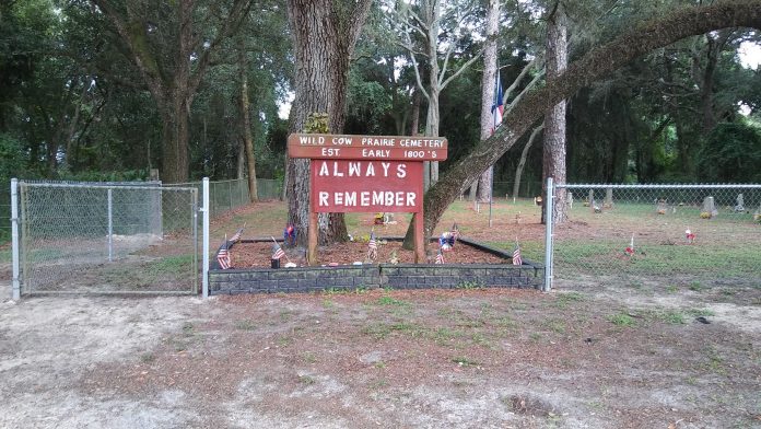 Wild Cow Prairie Cemetery. Photo provided by Sumter County Preservation Society.